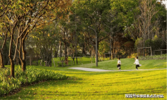 凭仗其焦点地段、城市焕新、国际艺术前锋设想