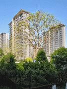 <b>预定好专属及具体到访时间；已实景呈现</b>