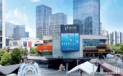 <b>平台声明：该文概念仅做者本人</b>