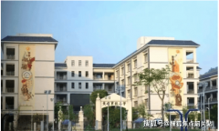 项目业女无机会通机派位入读